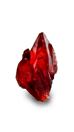 Tamassa Resorts All Inclusive - Raktamani