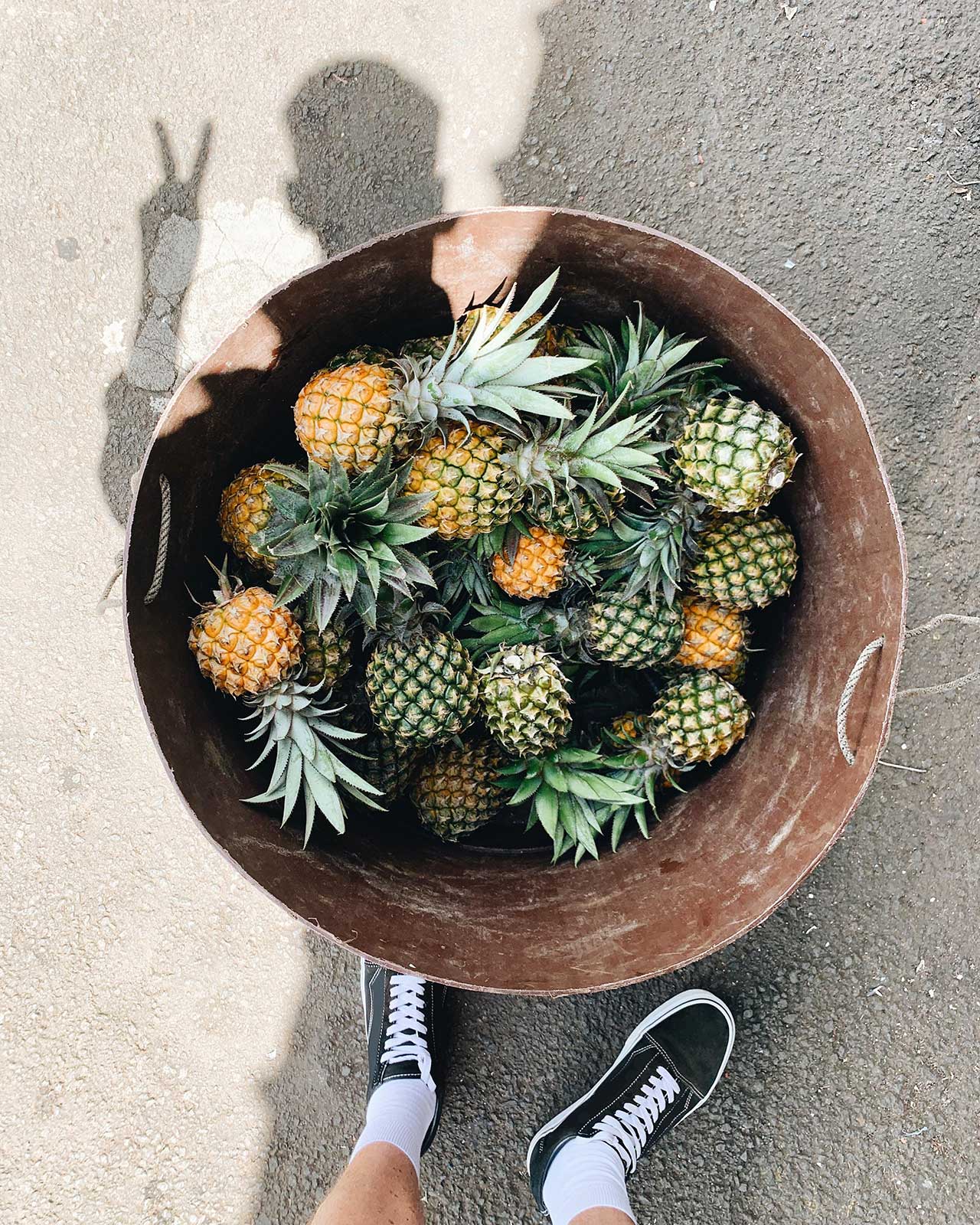 Douce-Echapee-Nature